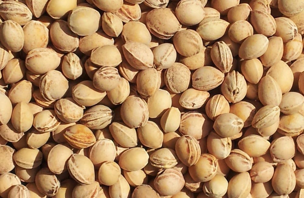 Uppnå välbefinnande och avlastning - Värmekudde för nacke, nacke &amp; rygg med naturlig fyllning (körsbärskärnor) - Nackvärmare - Seniorliving